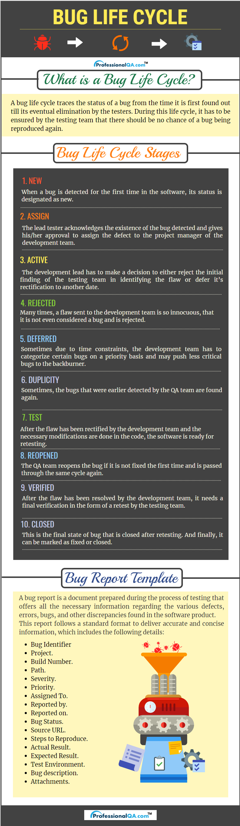 Bug Life Cycle Infographics